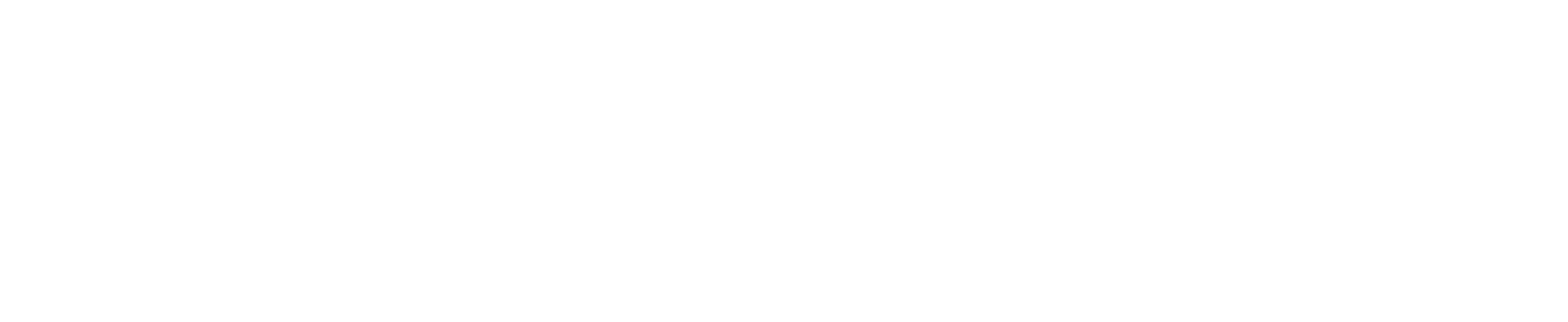 Dinola Jara Seguros